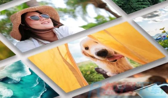 激动人心！Photoshop Elements和Premiere Elements 2024推出多项