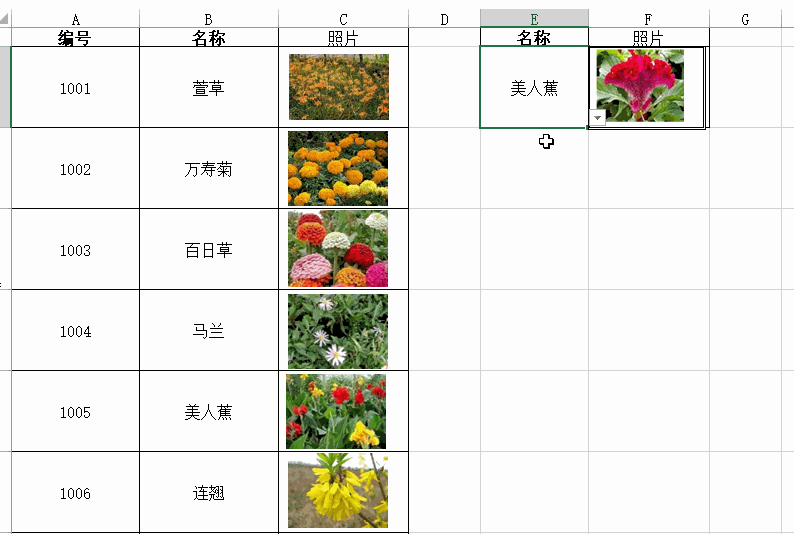 excel图片也可以根据名称自动匹配(图1)